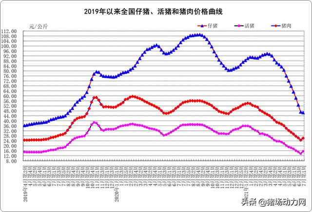 农业农村部突然公布！没想到，7月养猪要“变天”？