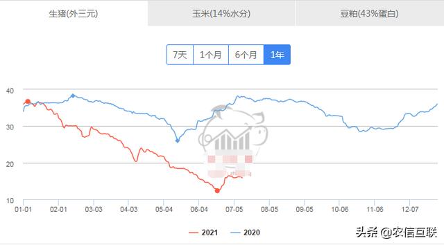 牧原扛不住了？母猪淘汰开始！收储26元，猪价要涨？看看官方咋说