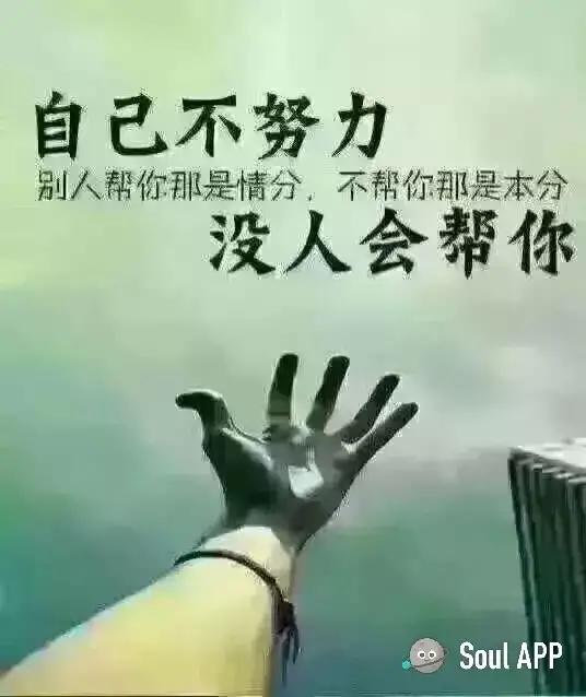 生肖猪有什么致命弱点？