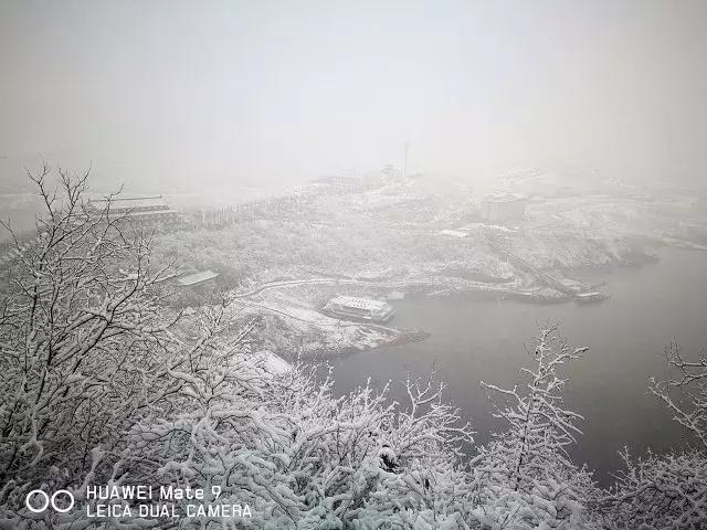 属狗的你！过年去这些景点统统不要钱！还有半价、各种优惠！