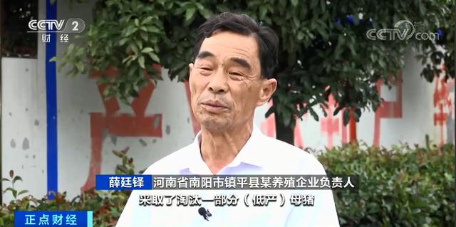 出栏一头肥猪，亏43元！价格腰斩，销量降降降...“二师兄”不香了？