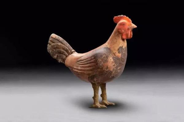 “鸡”繁体是雞或鷄，为何有两种写法？原来藏着古人养鸡的秘密