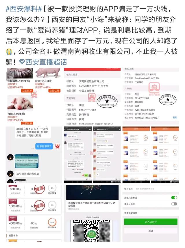 起底云养牛APP大骗局：你以为自己是华农，其实你是竹鼠