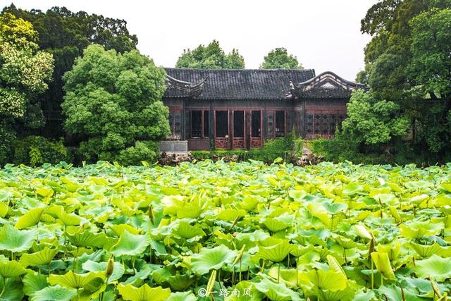 新晋短视频拍摄圣地，高晓松为它搬离北京，南浔凭啥能红遍全网？