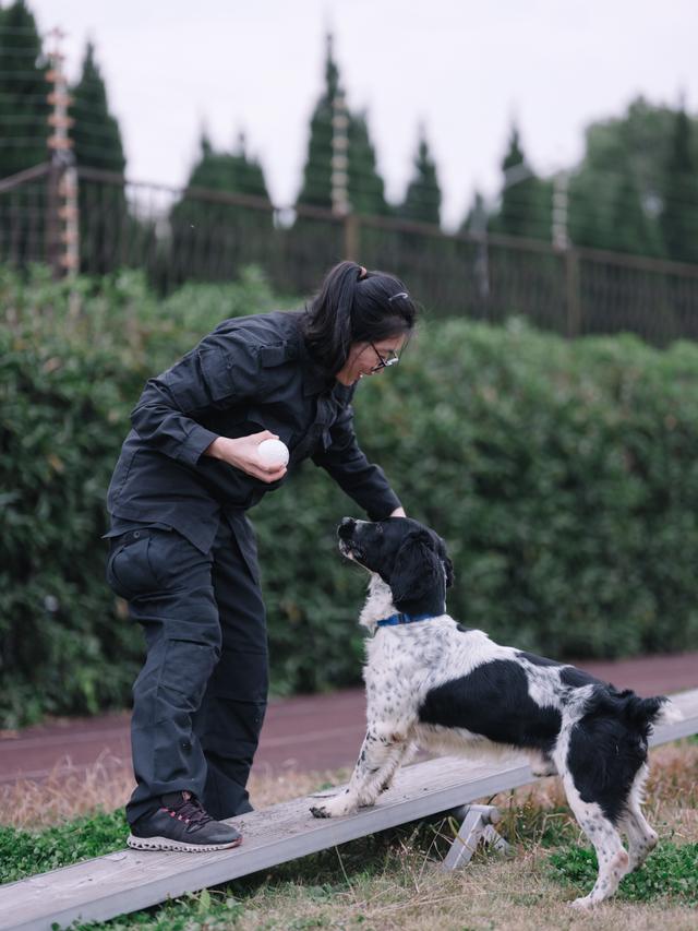 一条警犬的养成｜身边的动物