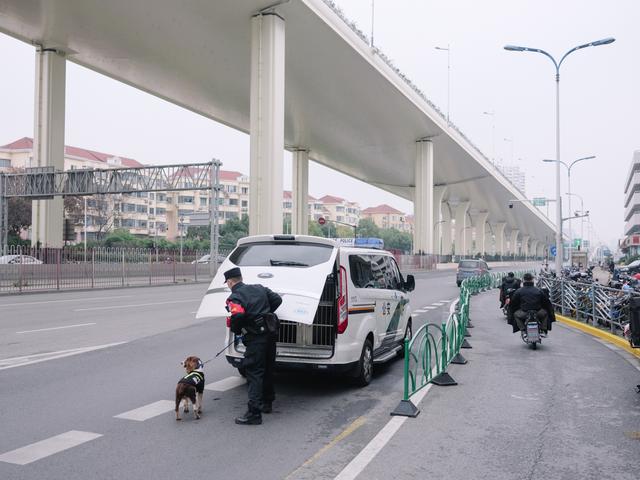 一条警犬的养成｜身边的动物