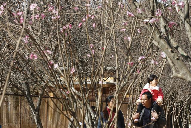 大年初四和立春同一天，“立春接五路，有雨财不空”，什么意思？