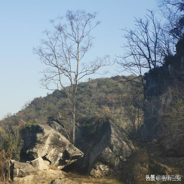 湖广文旅名人之“茶圣炼成记”