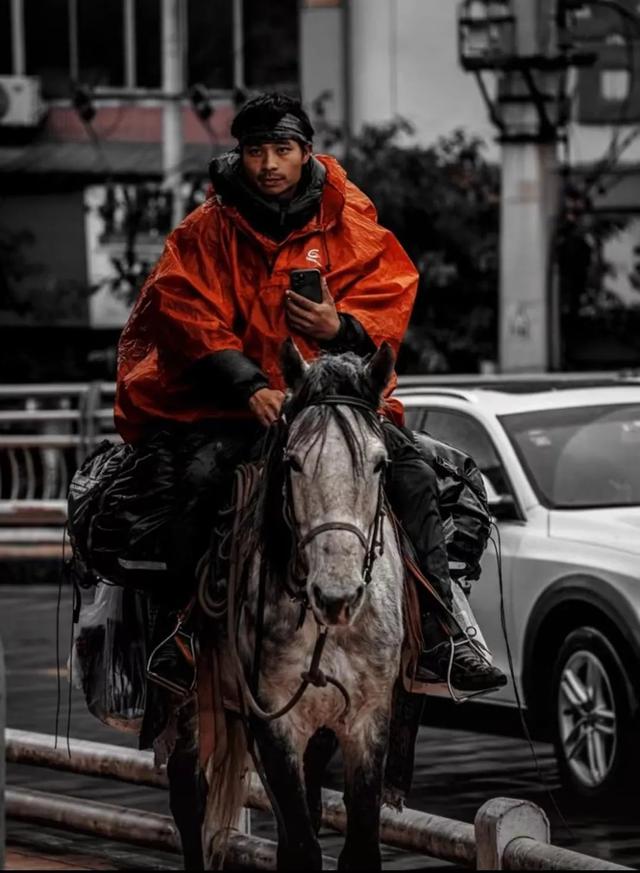 重庆小伙八千里路走单骑，骑马从新疆返乡