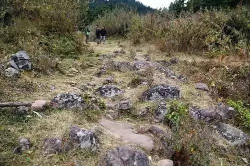 罗坪山顶的“凤山鸟会”奇观