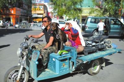 带着狗拉着轮椅上身患绝症的女友走遍中国的故事