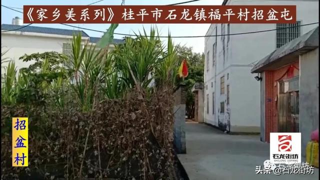 桂平石龙镇福平村招盆屯