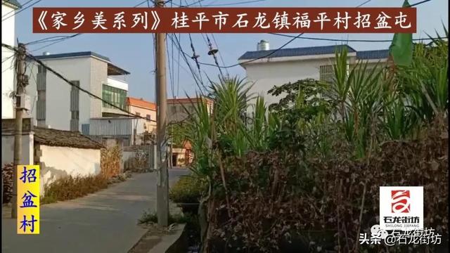 桂平石龙镇福平村招盆屯