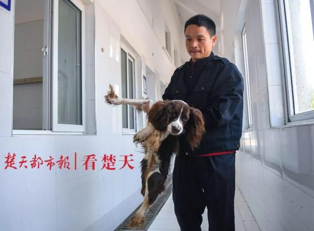 为什么警犬都身怀绝技？这个神秘警犬基地曝光，看完惊呆了