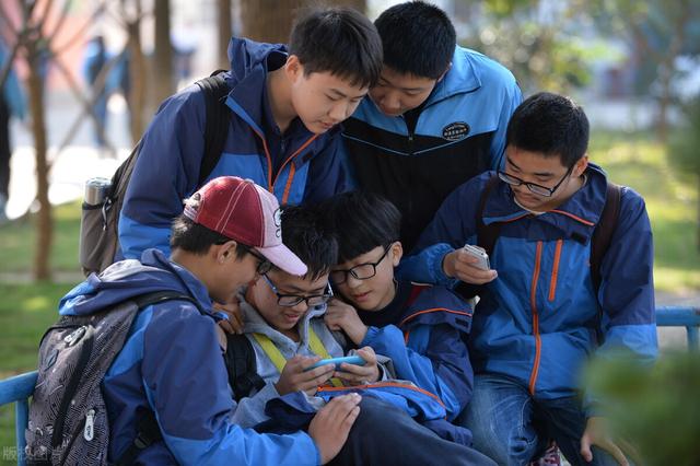 长不大，是我的错吗？一只汪星浓缩型德国牧羊犬的人间之旅