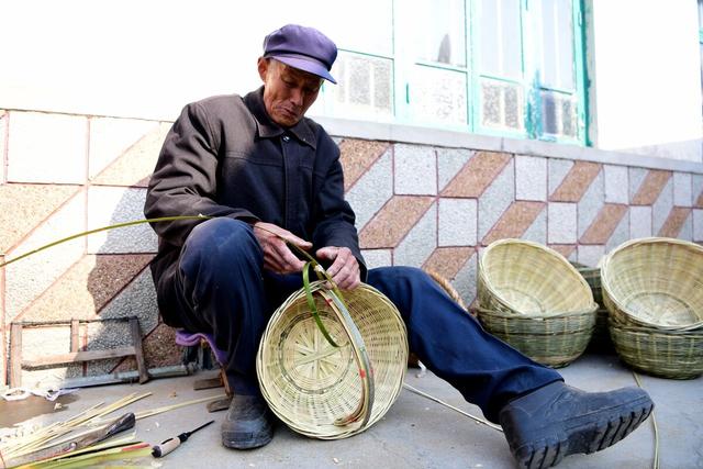 长不大，是我的错吗？一只汪星浓缩型德国牧羊犬的人间之旅