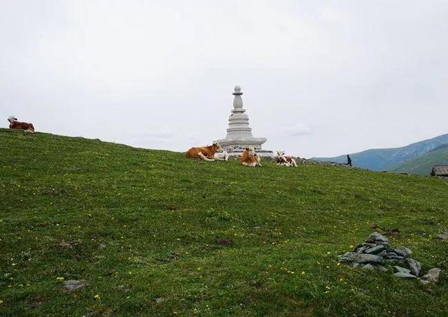 五台山繁峙佛教文化史研究(十)——东西禅坊的临济宗传统禅七