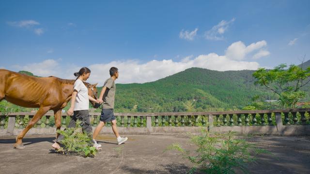 泉州律师38岁辞职，带妻子骑马游中国：脱轨1年半，找到人生意义