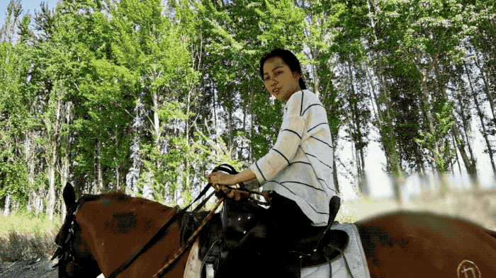 泉州律师38岁辞职，带妻子骑马游中国：脱轨1年半，找到人生意义