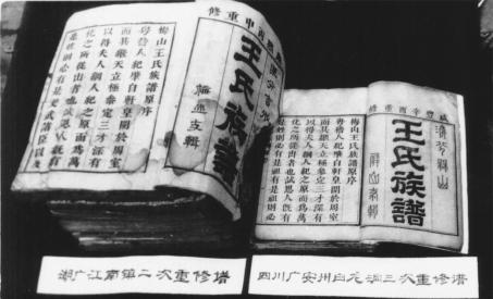 名门望族｜广安市前锋区桂兴镇屏山王氏家族：“湖广填四川”的人文化石