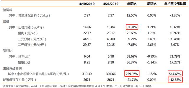 头条都是知识贴，粉丝都愿学本领！（猪肉概念第二波）