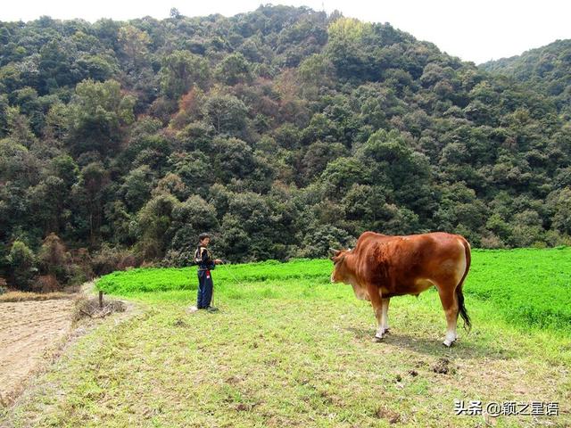 著名的石头村，许家村人不姓许，避世而独立