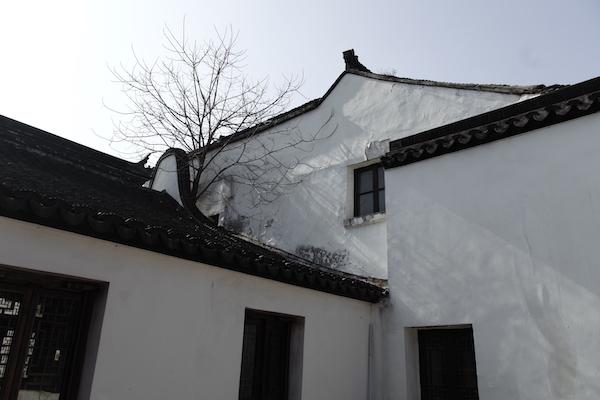 对话｜张晔：留住古镇泗泾的千年人文，并不仅是修旧如旧