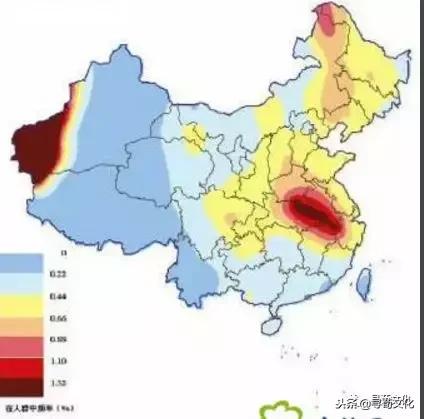 程-汉字的艺术及姓氏文化