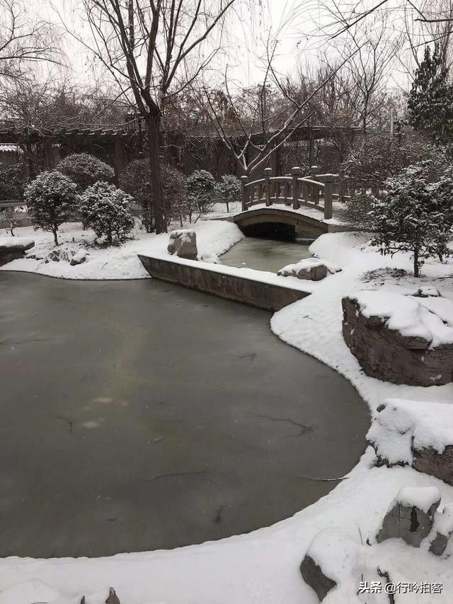 当马氏庄园遇上雪，便惊艳了整个安阳城