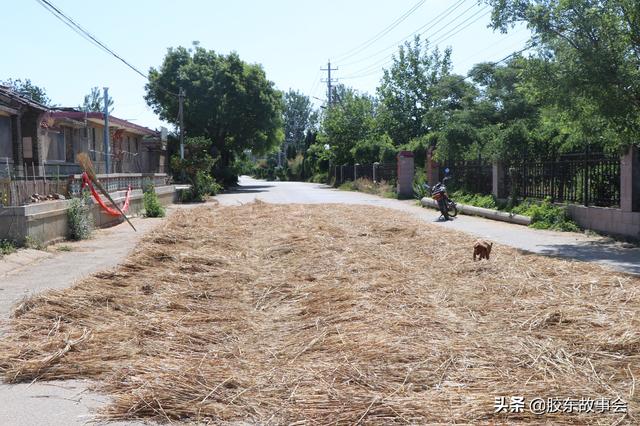 组图：这个村地处栖霞和招远的交界处，名叫“大解家”