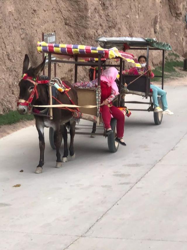 江河湖海时装特辑 | 我的故乡，在水一方