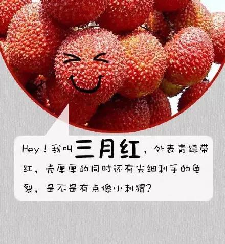 荔枝品种，你吃过几样？