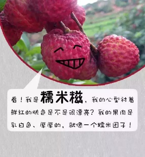 荔枝品种，你吃过几样？