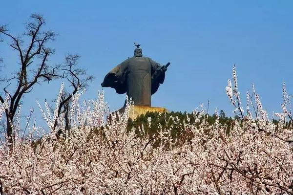 【春暖花开正清明】老家河南精彩旅游活动大汇总