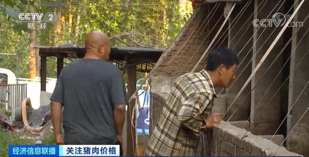 集中出栏！猪肉价格一路下行 稳“猪”！国家打出“组合拳”