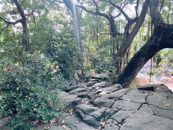 洞天寻隐·闽山纪丨“围住真山当假山”：隐于福州城中的“三山”福地