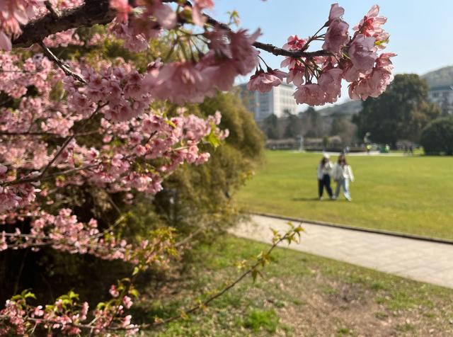 大学生造卫星，一场800万元的试验