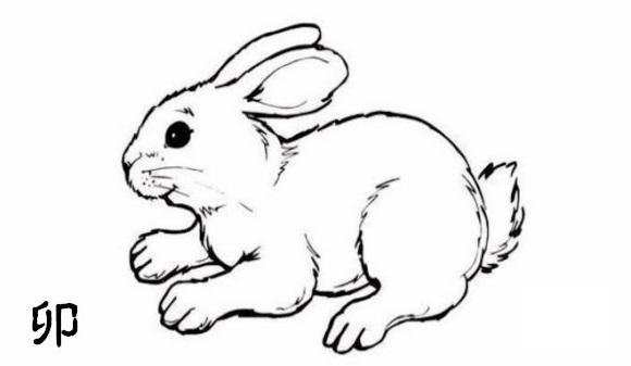生肖兔农历二月（乙卯月）流月运势及开运方法