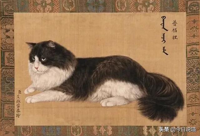 乾隆的御猫都叫什么名字？审美不怎么样，给猫取的名字竟然蛮好听