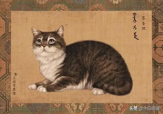 乾隆的御猫都叫什么名字？审美不怎么样，给猫取的名字竟然蛮好听