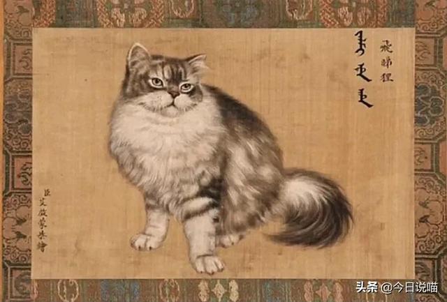 乾隆的御猫都叫什么名字？审美不怎么样，给猫取的名字竟然蛮好听