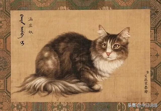 乾隆的御猫都叫什么名字？审美不怎么样，给猫取的名字竟然蛮好听