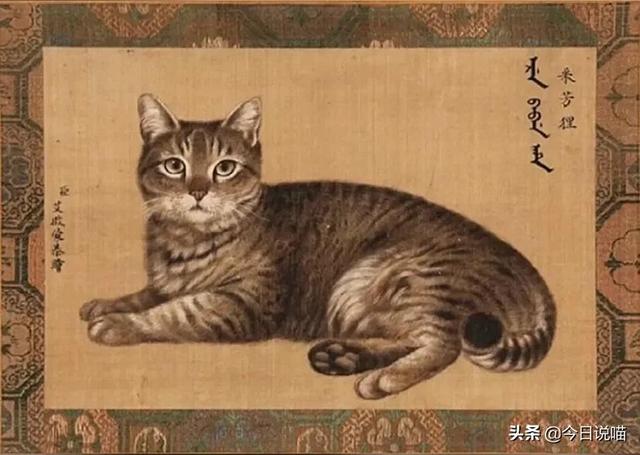 乾隆的御猫都叫什么名字？审美不怎么样，给猫取的名字竟然蛮好听