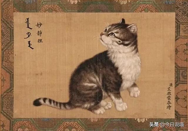 乾隆的御猫都叫什么名字？审美不怎么样，给猫取的名字竟然蛮好听