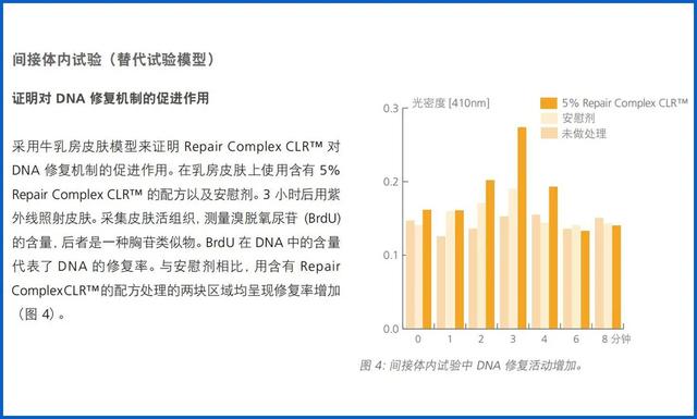 雅诗兰黛小棕瓶、娇韵诗双萃，这些大牌“平替”真的靠谱吗？