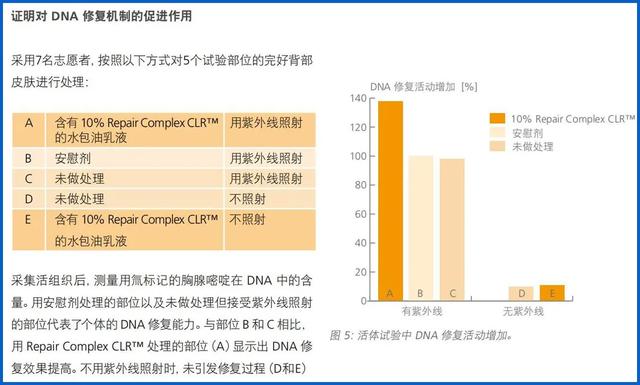 雅诗兰黛小棕瓶、娇韵诗双萃，这些大牌“平替”真的靠谱吗？