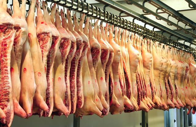 进入2月猪价“3连涨”，猪肉价格会上涨吗？能否突破30元/斤？