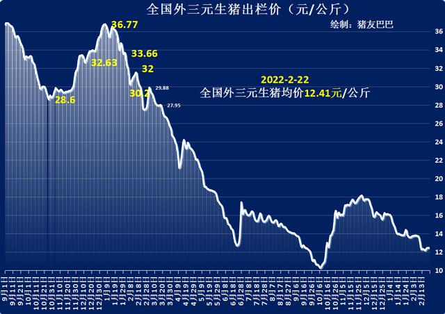 猪价堪比“地板价”，养殖亏损近500，发生了啥？2月22日猪价