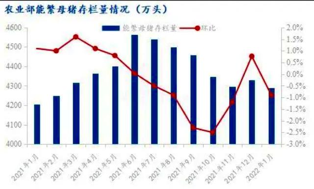 猪价堪比“地板价”，养殖亏损近500，发生了啥？2月22日猪价