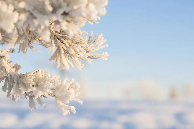 今日大雪丨雪竟然有20多种名字，雪蕴诗情，你知道有哪些相关的诗句吗